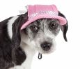 Pet Life 'Sea Spot Sun' Uv Protectant Adjustable Fashion Mesh Brimmed Dog Hat Cap - Pink - Large