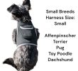 Wireless GPS Tracking Collars for Hunting Dogs Realtime Tracking Tool Size:L - Default