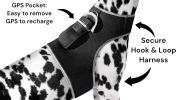 Enhanced GSM GPS Mini Pet Locator Tag Waterproof Dog/Cat Tracking Sys Size:M - Default
