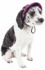 Pet Life 'Sea Spot Sun' Uv Protectant Adjustable Fashion Mesh Brimmed Dog Hat Cap - Burgundy - Medium