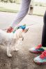 Pet Life 'Colorfur' Uv Protectant Adjustable Fashion Canopy Brimmed Dog Hat Cap - Large