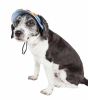 Pet Life 'Colorfur' Uv Protectant Adjustable Fashion Canopy Brimmed Dog Hat Cap - Large