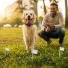 Electric Dog Fence System Pet Tone Shock Boundary Containment Water Resistant Collar Receiver For Small Medium Large Dog - Wire