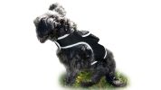 Android Compatible GSM Pet Locator Pet Tracker Cat Dog GPS Tracking System Size:M - Default