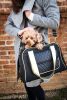 Airline Approved Mystique Fashion Pet Carrier - B22BKMD