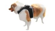 Enhanced GSM GPS Mini Pet Locator Tag Waterproof Dog/Cat Tracking Sys Size:M - Default