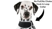 Apps Controlled GSM GPS Pet Tracking System Waterproof Cat Dog Locator Size:M - Default